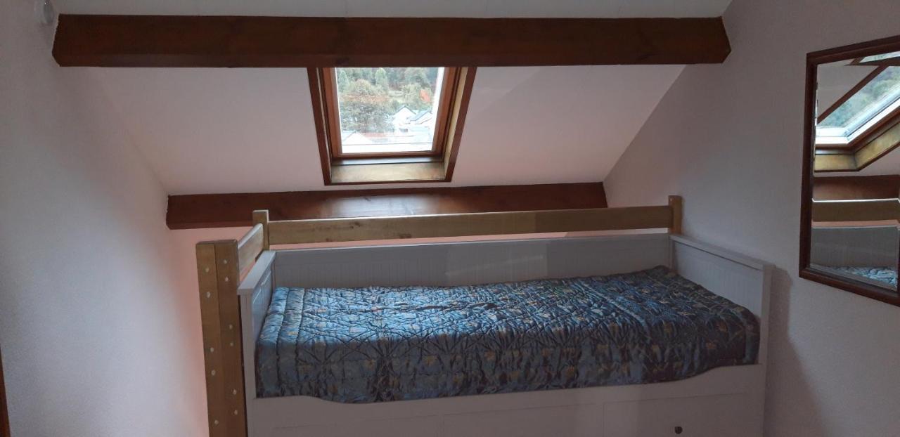 Appartamento Montagne Ariégeoise Aulus-les-Bains Esterno foto